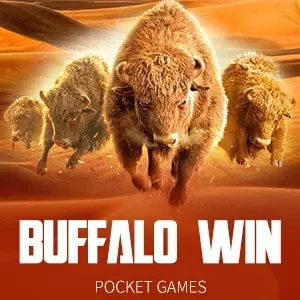 jdmax online casino buffalo win 108